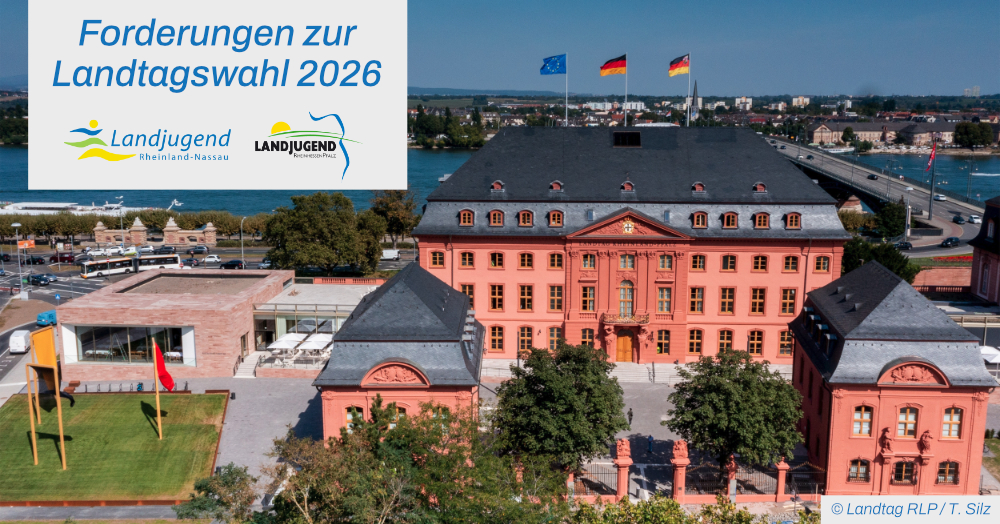 Ein Drohnenbild des Landtaggebäudes in Mainz