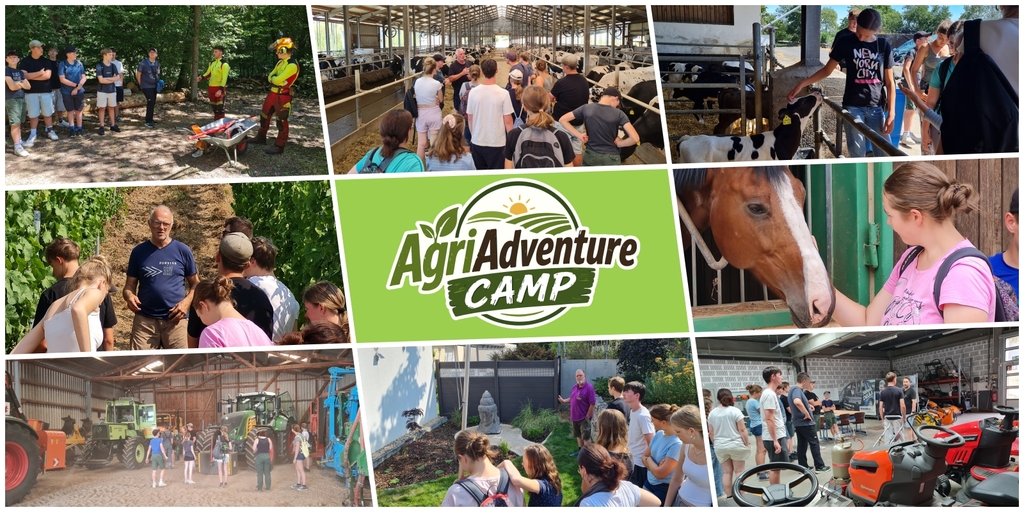 Collage mit Fotos aus dem AgriAdventure Camp aus verschiedenen Betrieben