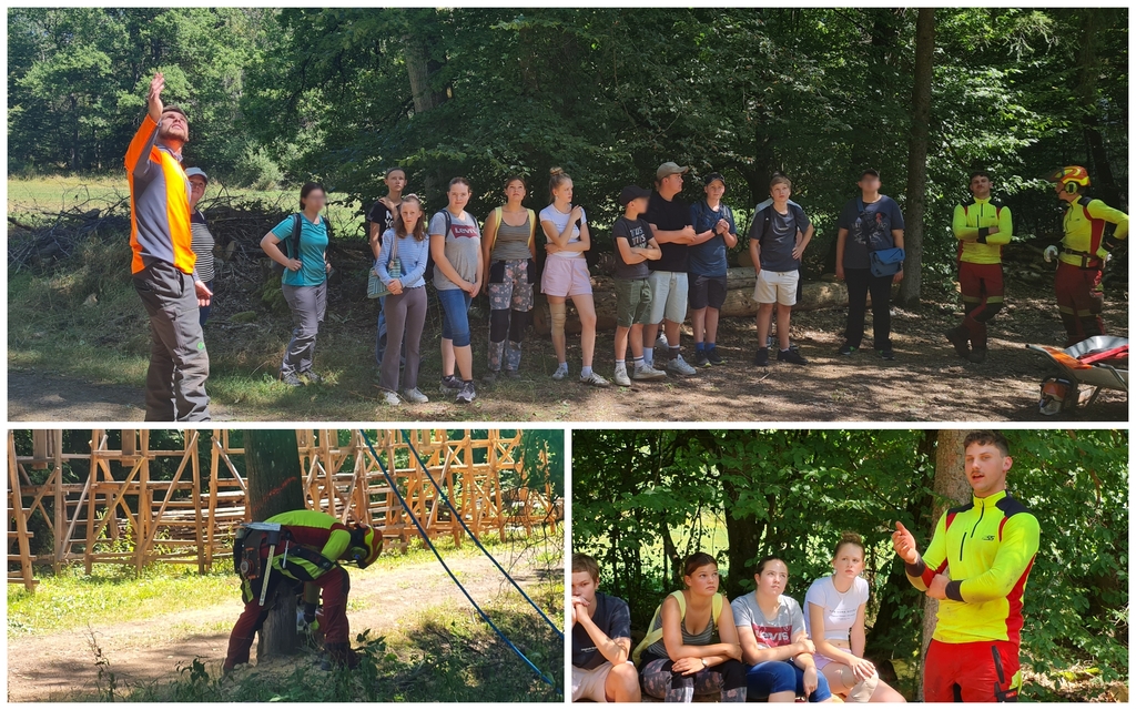 Collage aus drei Bildern aus dem Forstamt Soonwald. Zeigen Teilnehmer und Forstwirte im Wald.